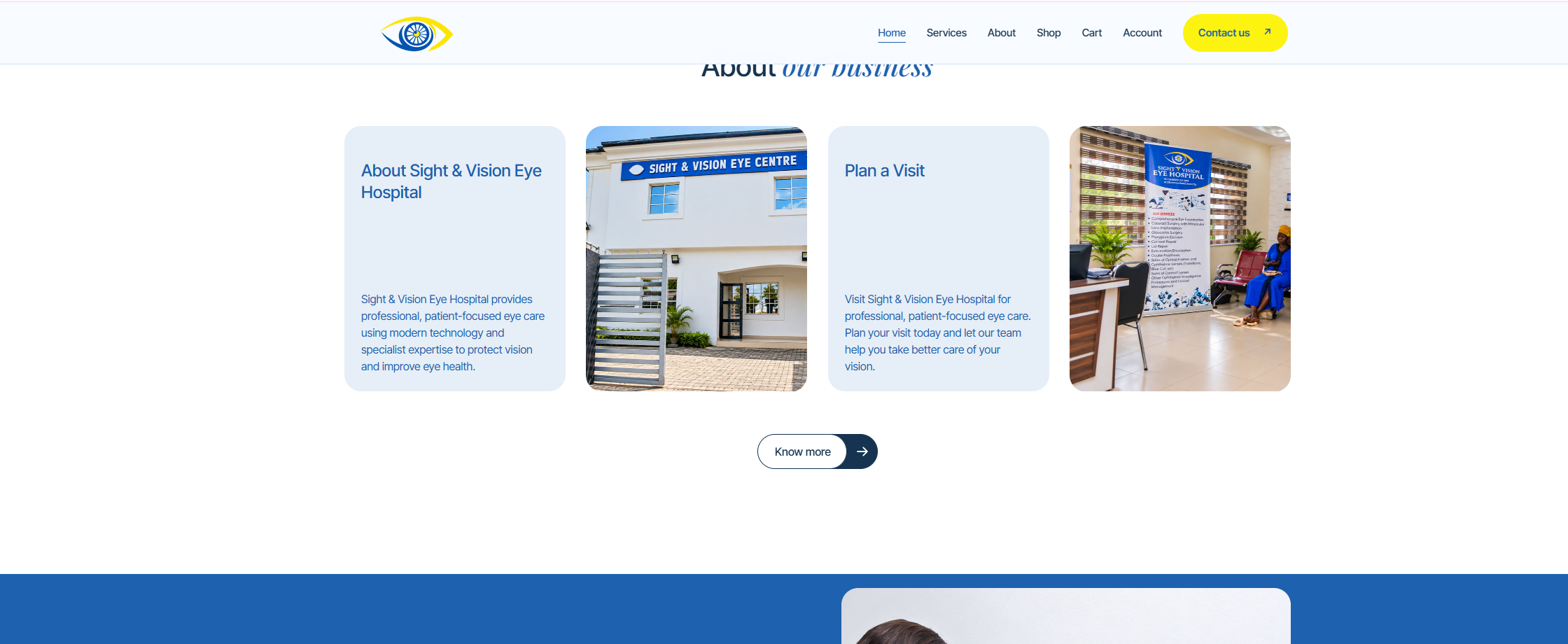 BizPlus theme preview